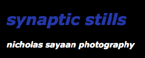 Synaptic Stills